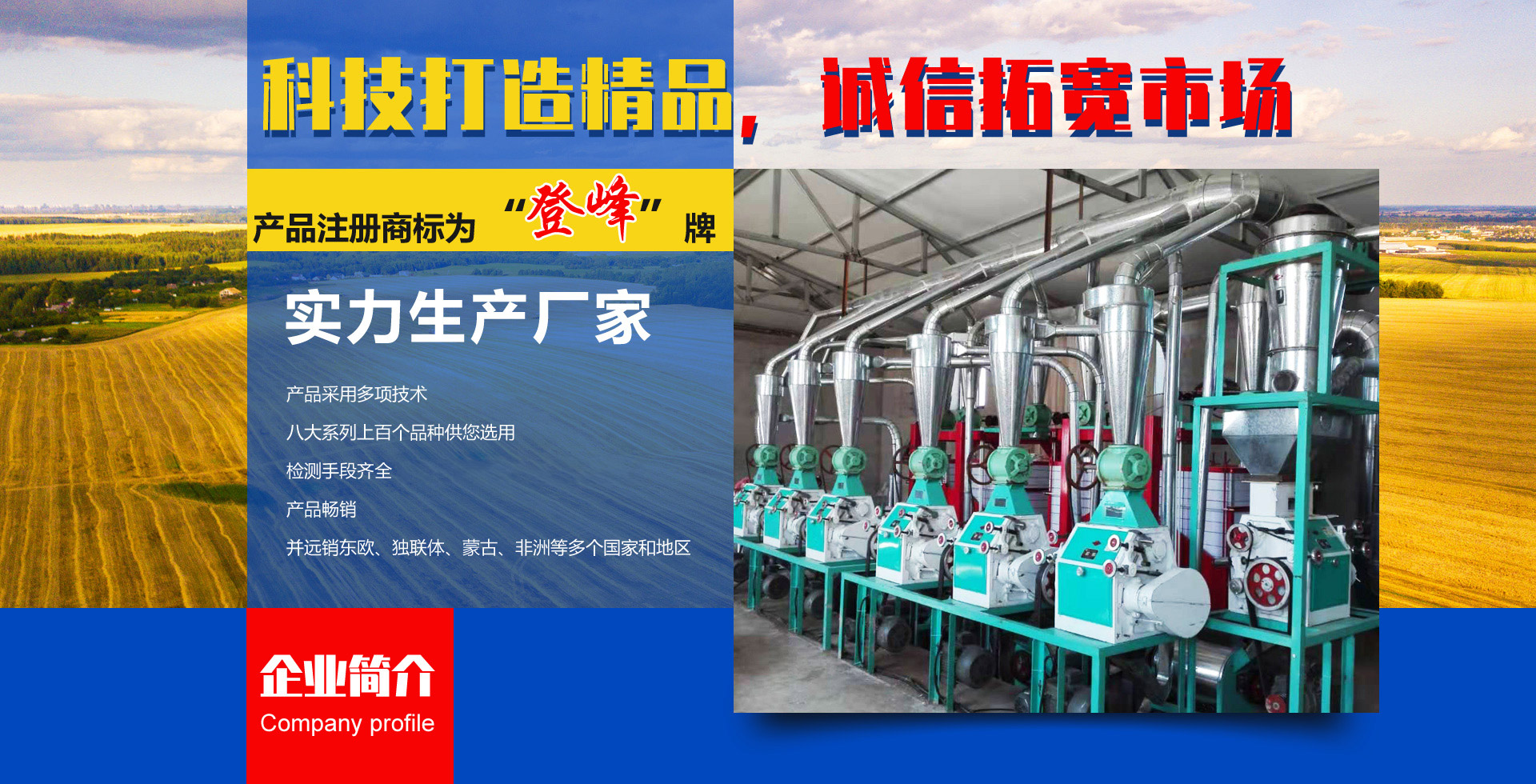 QIWANG QIWANG